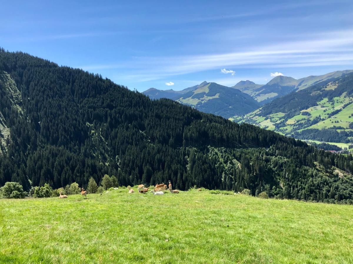 Haizelrock Kirchberg in Tirol Exterior photo